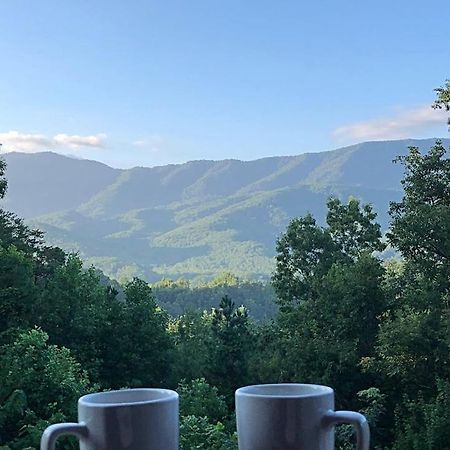 Tennessee Roots By Stony Brook Cabins Gatlinburg Zewnętrze zdjęcie